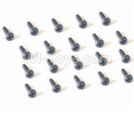 HBX 2138 Fire Runner Screw Parts-Pan Head Self Tapping Screw-2X5mm(20PCS) Parts-25060,HaiBoXing HBX 2138 RC Car Parts 1/24
